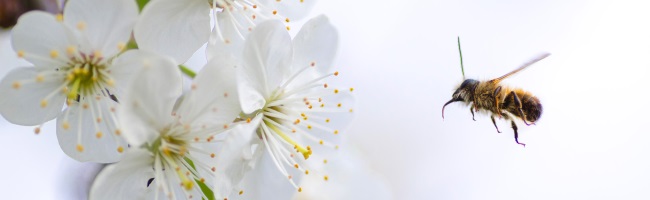 Une équipe de secrétaires privés à votre service